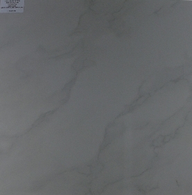 Carrara LP 600 X 600